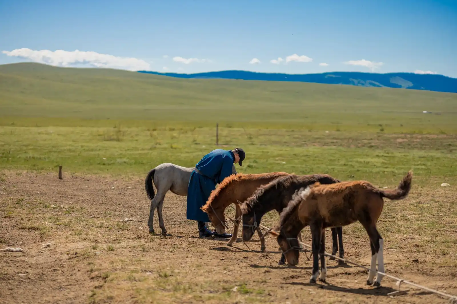 2025健康管理行业技术发展趋势与落地应用前景解析