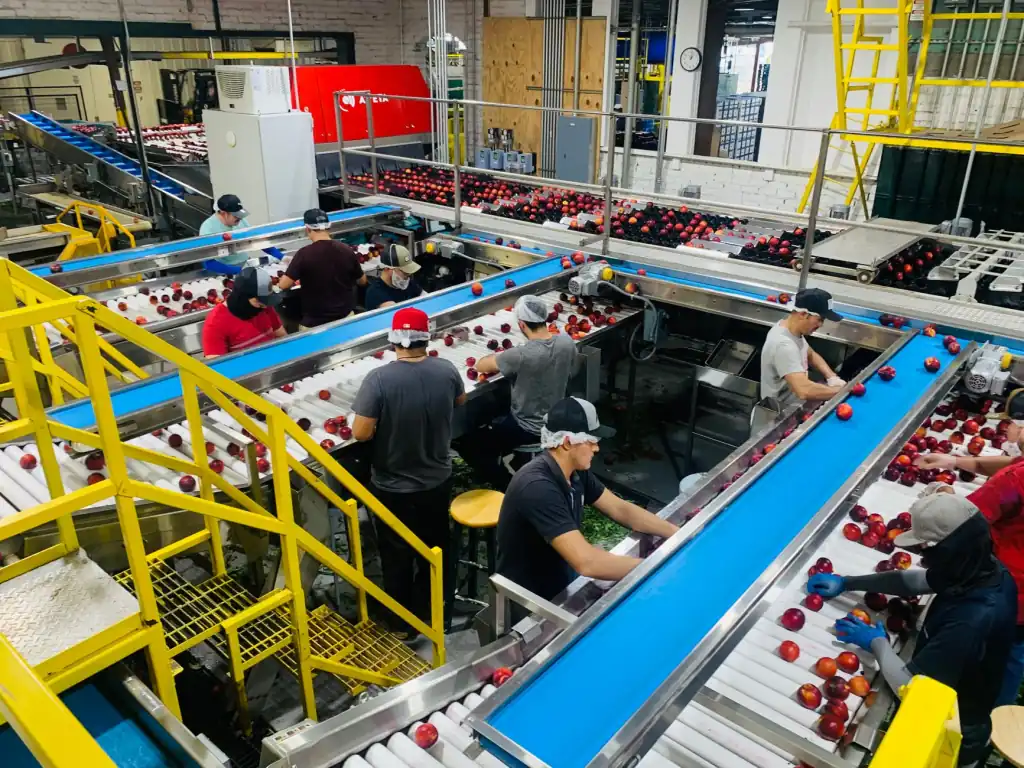 健康管理方案落地实操：从产品研发到企业保健咨询服务的全流程管控