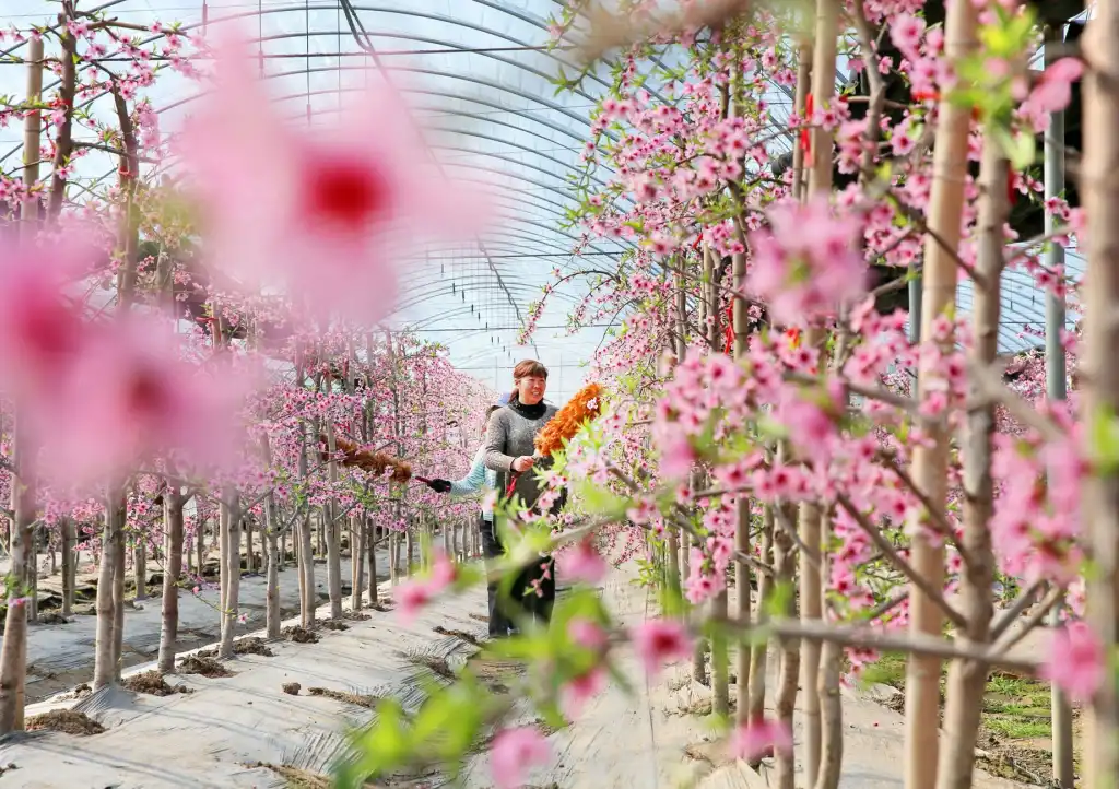2024年健康产品市场趋势分析：技术研发与个性化管理方案